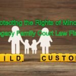 Guardianship Advocates: Protecting the Rights of Minors