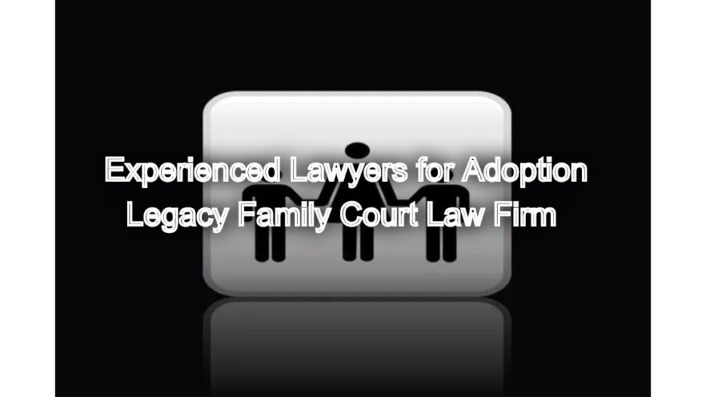 Experienced Lawyers for Adoption Under the Hindu Adoption and Maintenance Act, 1956