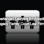 Experienced Lawyers for Adoption Under the Hindu Adoption and Maintenance Act, 1956