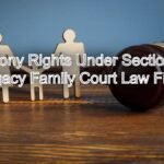 Alimony Rights Under Section 24 of the Hindu Marriage Act