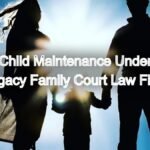 Secure Child Maintenance Under the Hindu Adoption and Maintenance Act